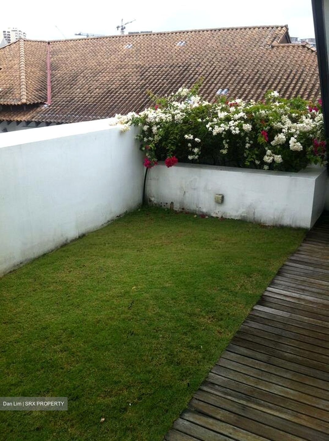 Braddell Heights Estate (D13), Detached #503599061